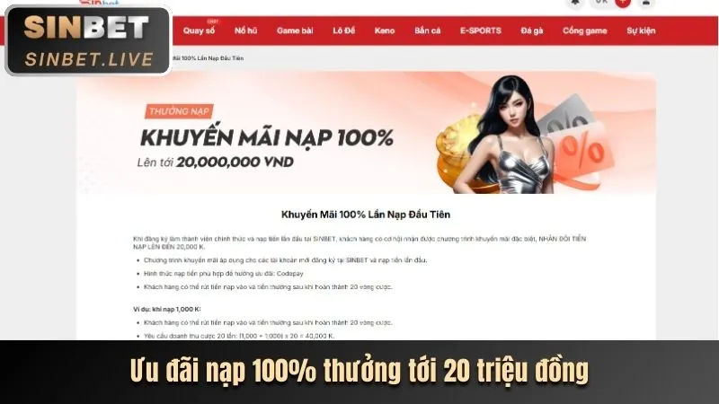 Ưu đãi dành cho thành viên VIP